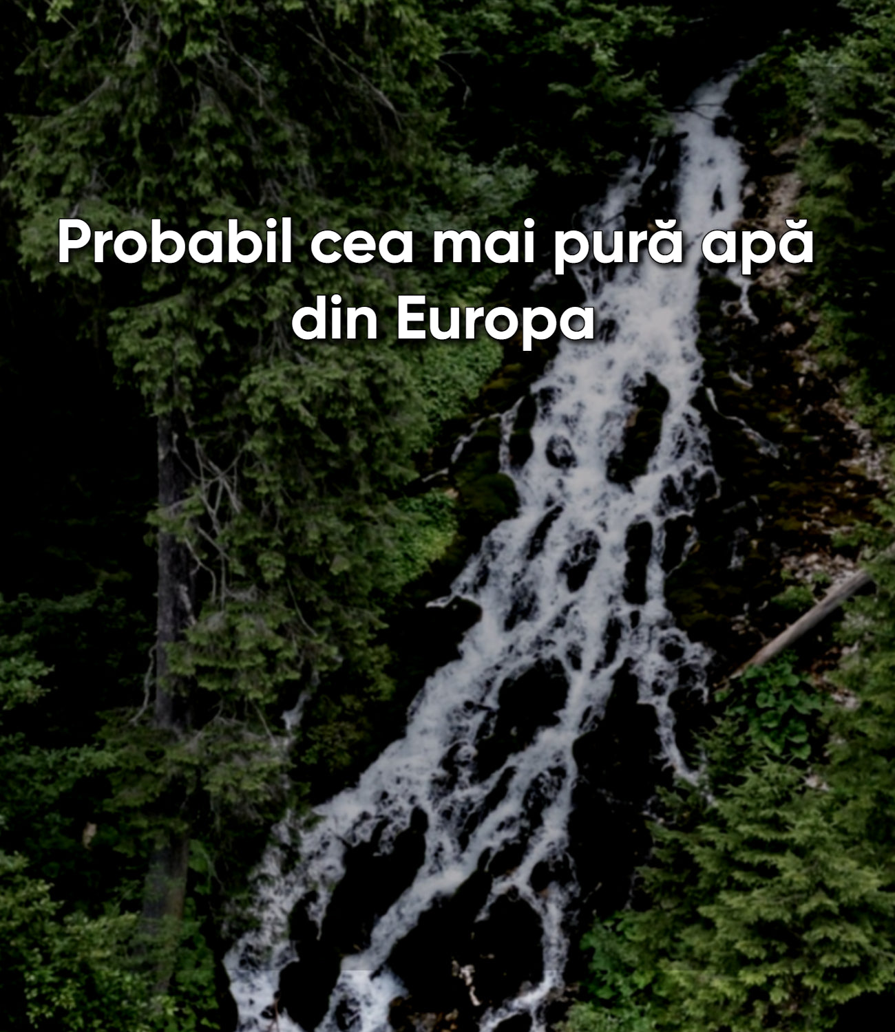 Sursă de încredere din Munții Bucegi